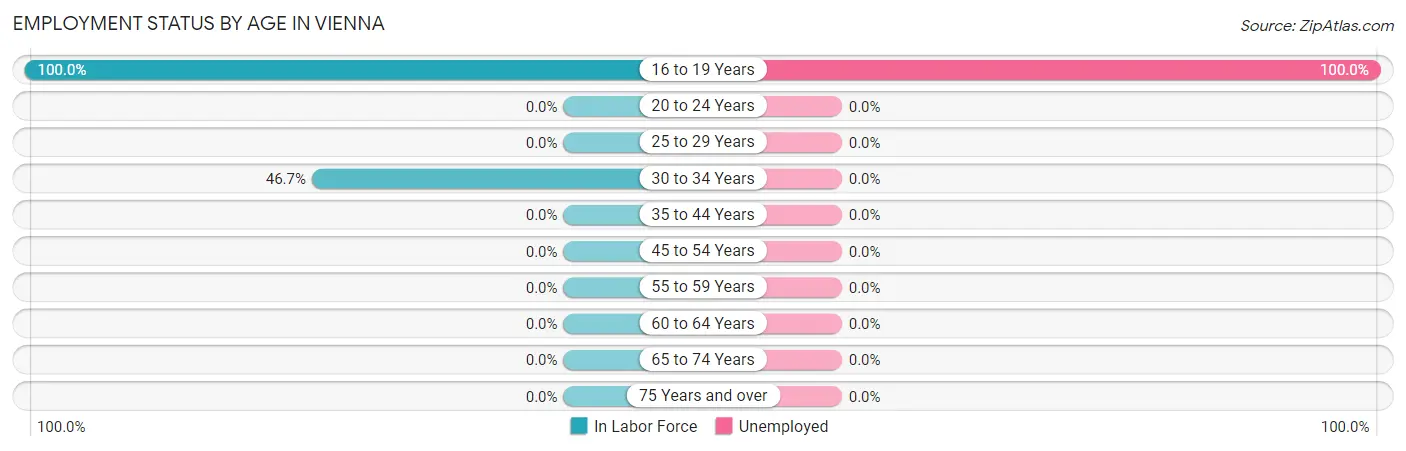 Employment Status by Age in Vienna