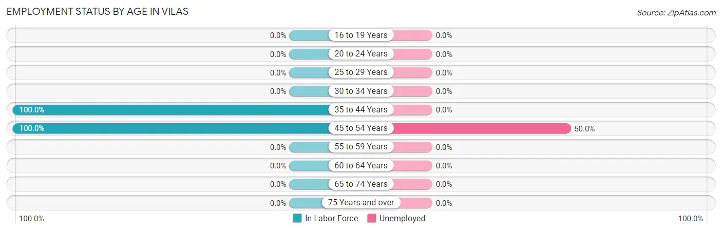 Employment Status by Age in Vilas