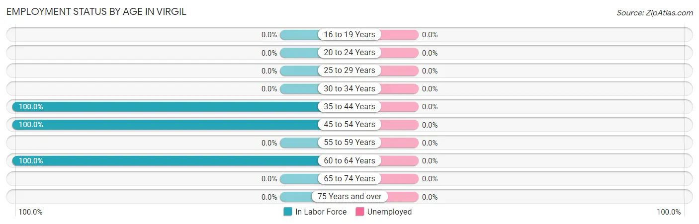 Employment Status by Age in Virgil