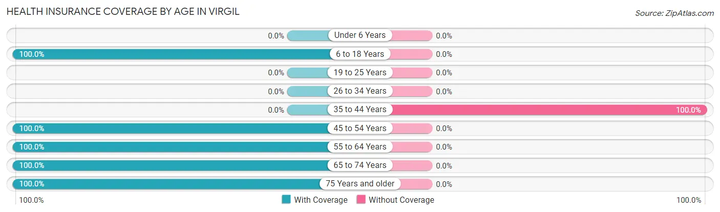 Health Insurance Coverage by Age in Virgil