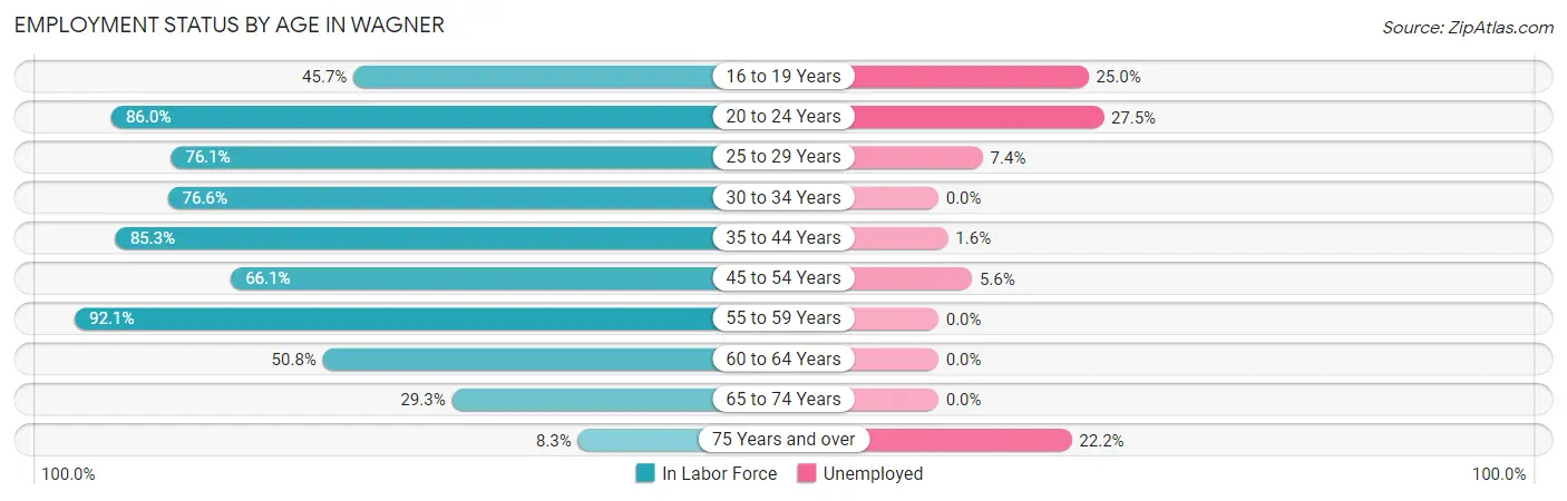 Employment Status by Age in Wagner