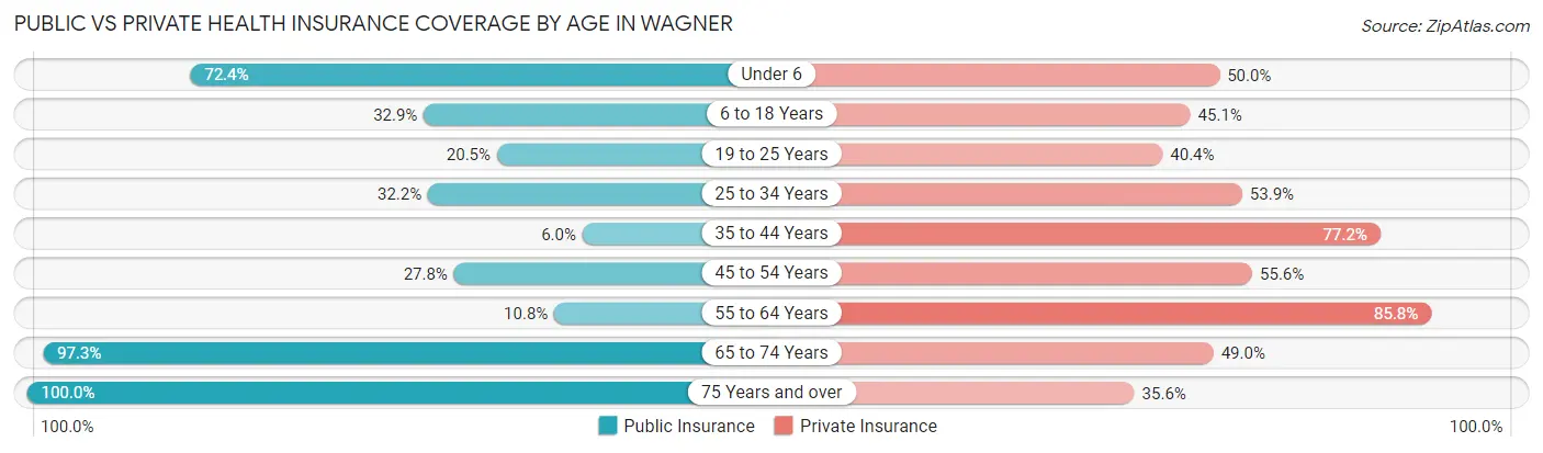 Public vs Private Health Insurance Coverage by Age in Wagner