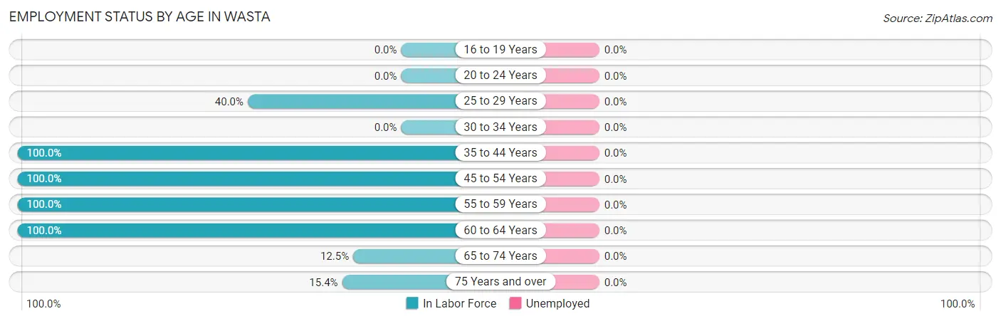 Employment Status by Age in Wasta