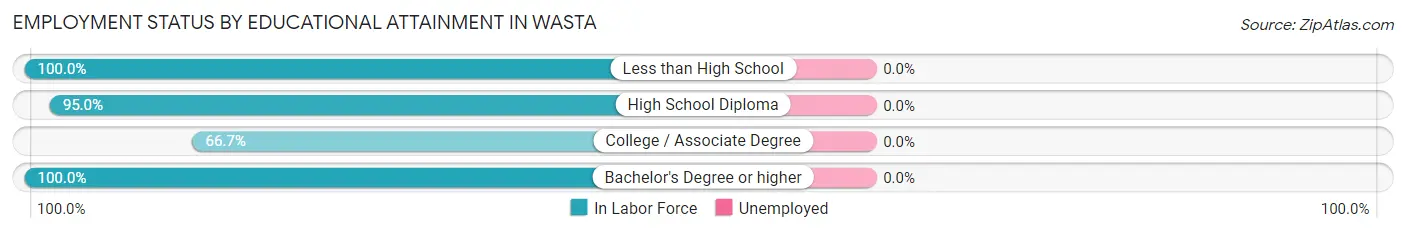 Employment Status by Educational Attainment in Wasta