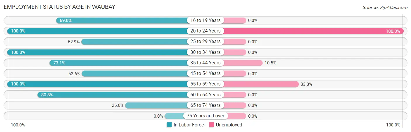 Employment Status by Age in Waubay