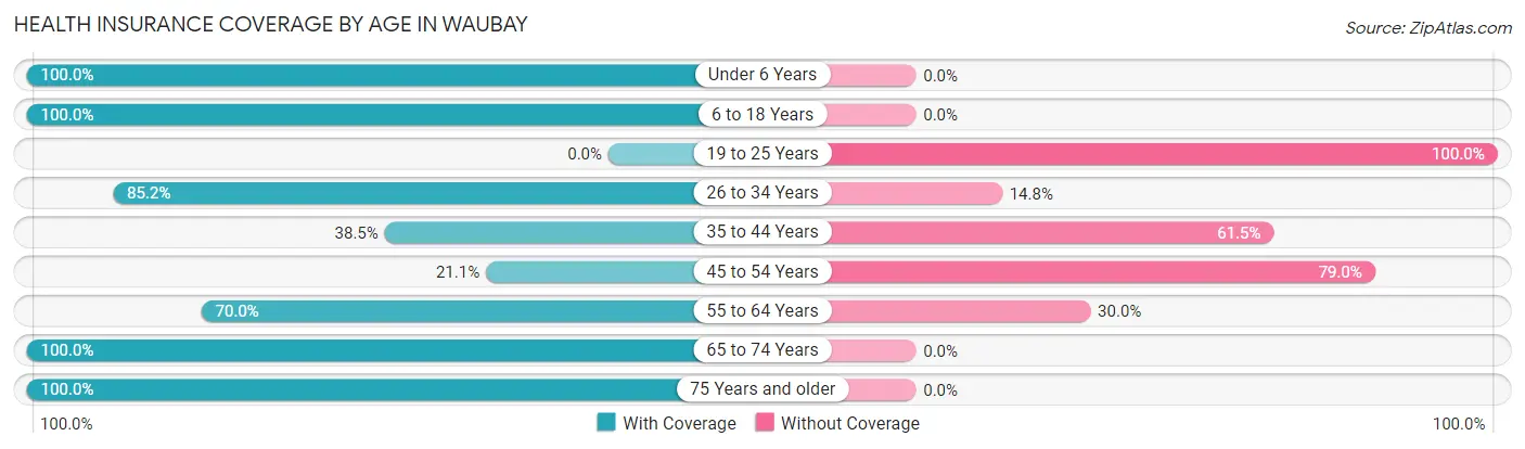 Health Insurance Coverage by Age in Waubay