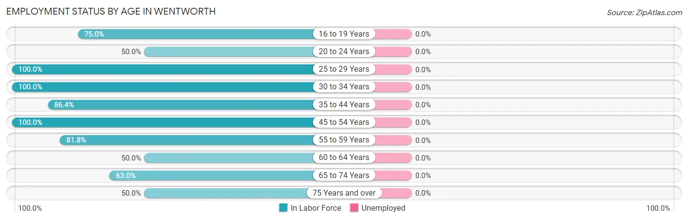 Employment Status by Age in Wentworth