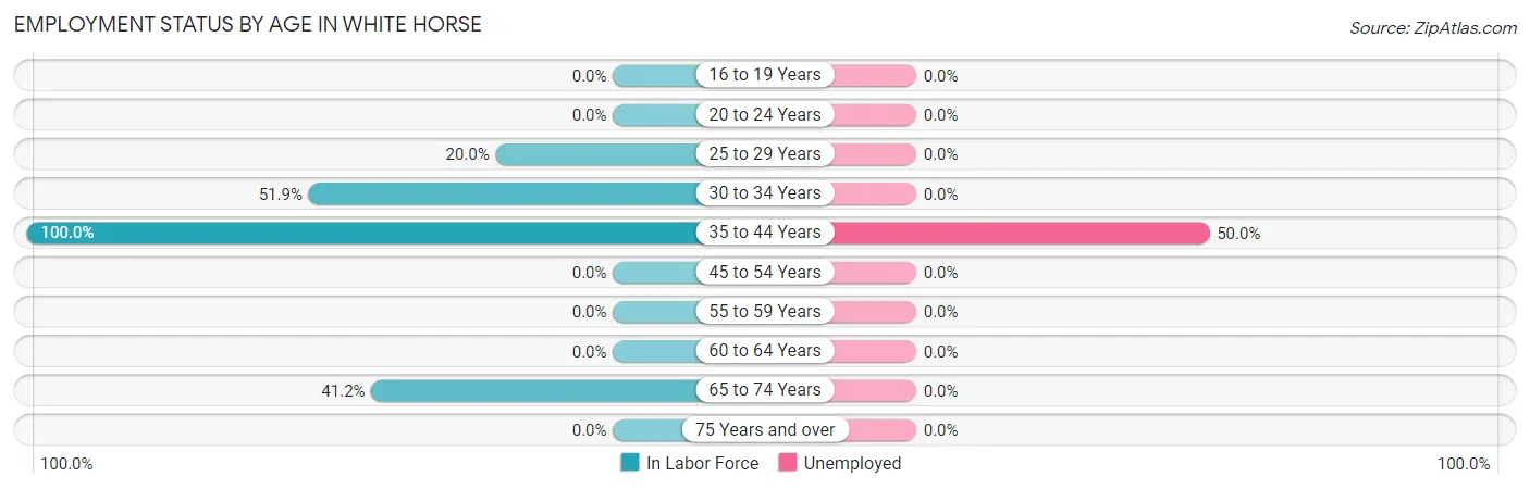 Employment Status by Age in White Horse