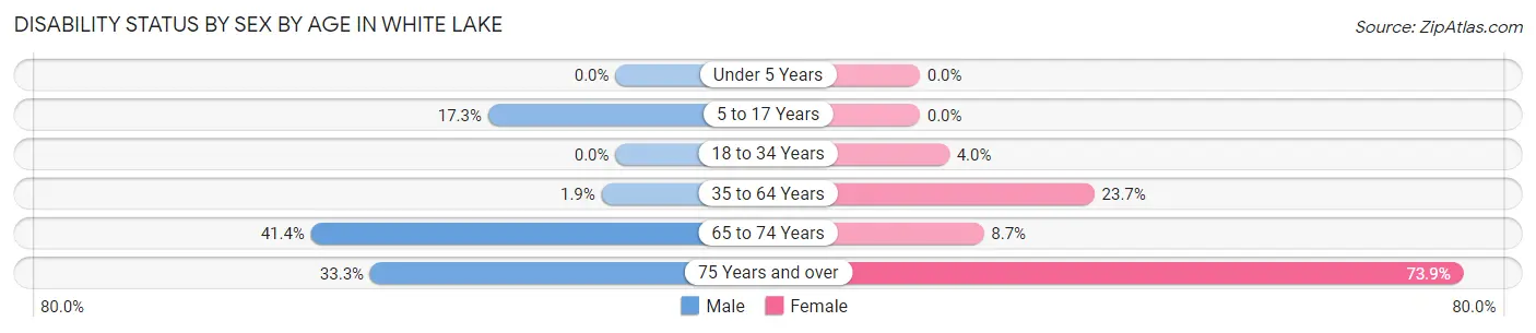 Disability Status by Sex by Age in White Lake