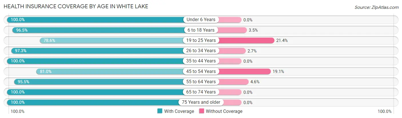 Health Insurance Coverage by Age in White Lake