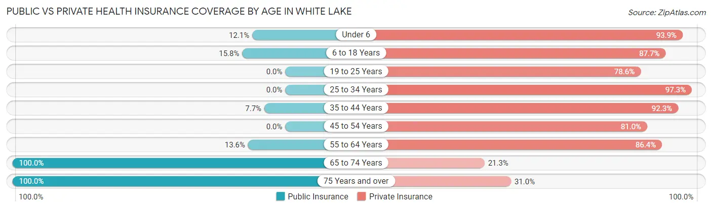 Public vs Private Health Insurance Coverage by Age in White Lake