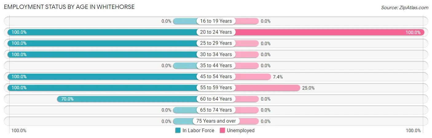 Employment Status by Age in Whitehorse