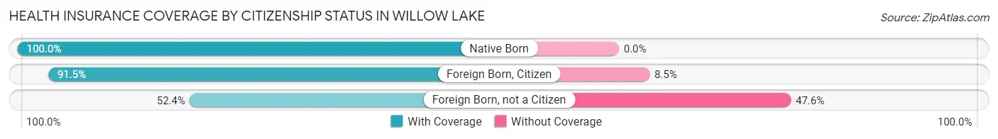 Health Insurance Coverage by Citizenship Status in Willow Lake