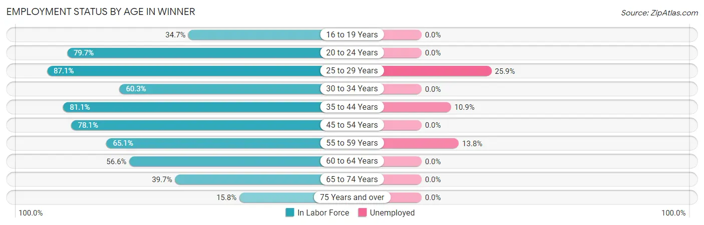 Employment Status by Age in Winner