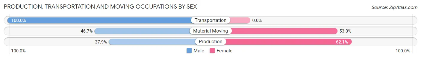 Production, Transportation and Moving Occupations by Sex in Woonsocket