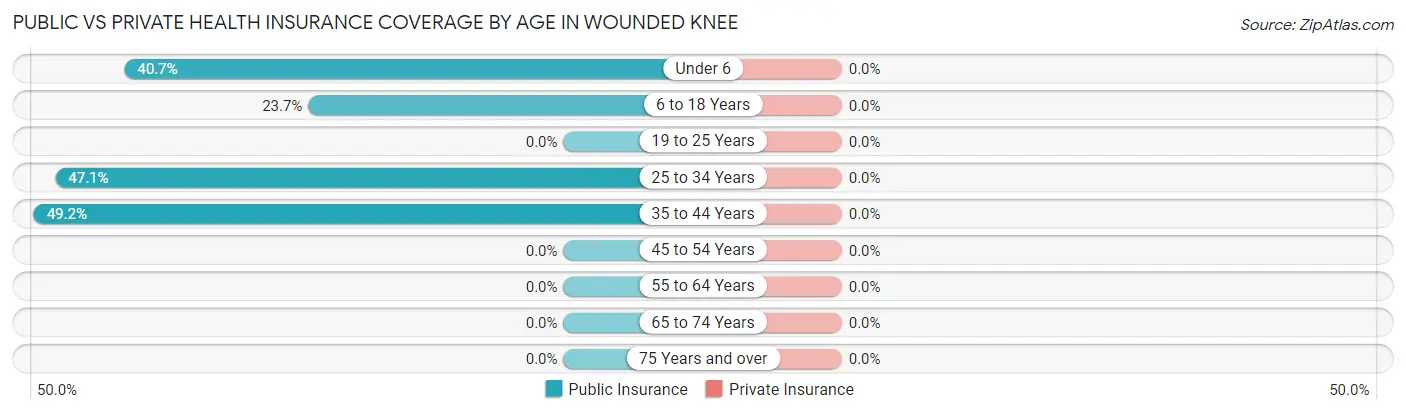 Public vs Private Health Insurance Coverage by Age in Wounded Knee