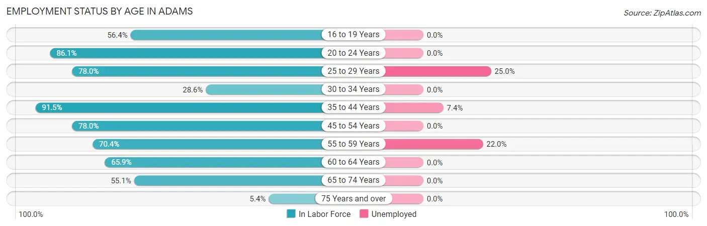 Employment Status by Age in Adams