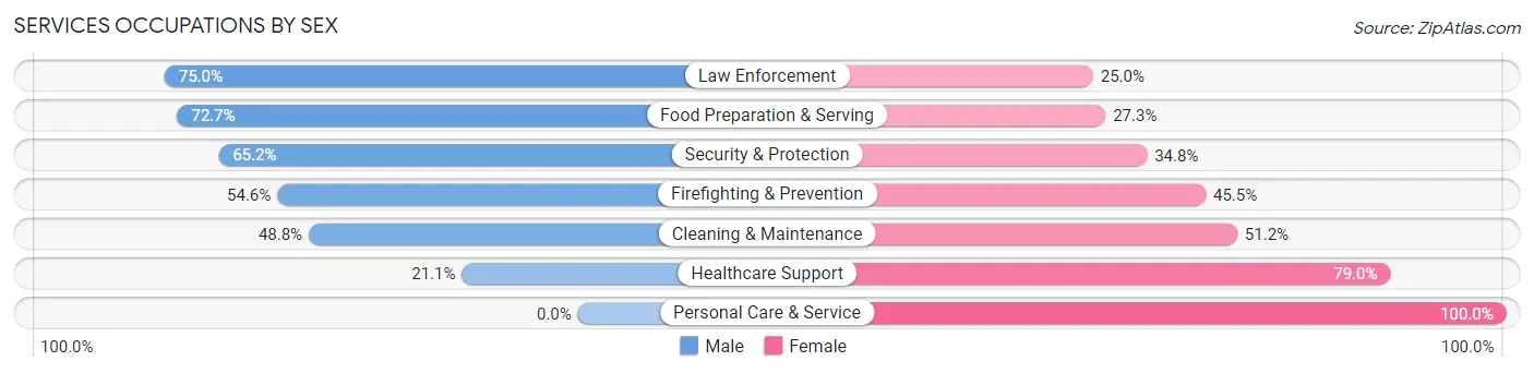 Services Occupations by Sex in Adams