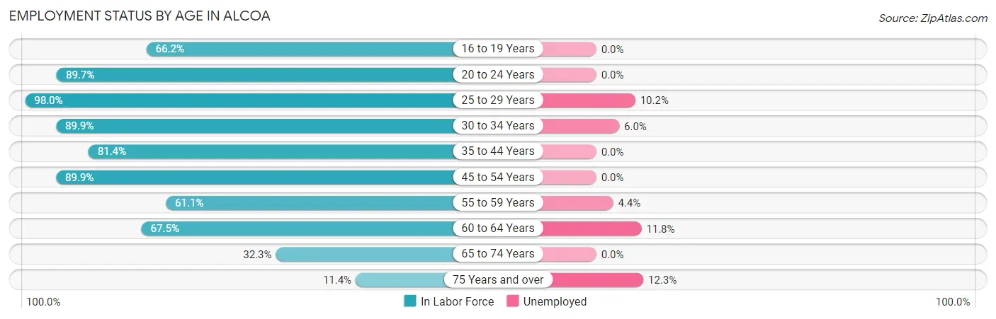Employment Status by Age in Alcoa