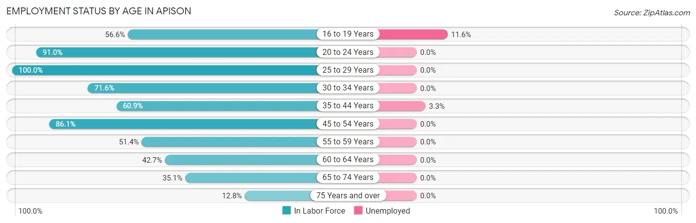 Employment Status by Age in Apison