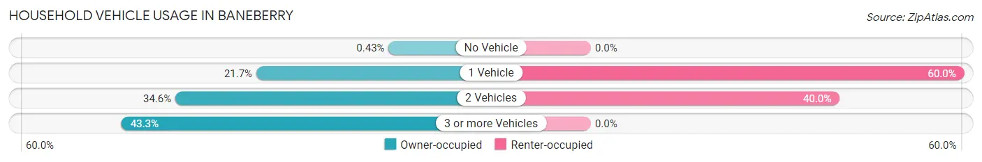 Household Vehicle Usage in Baneberry