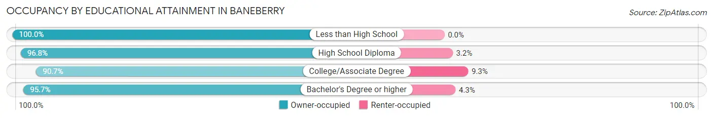 Occupancy by Educational Attainment in Baneberry