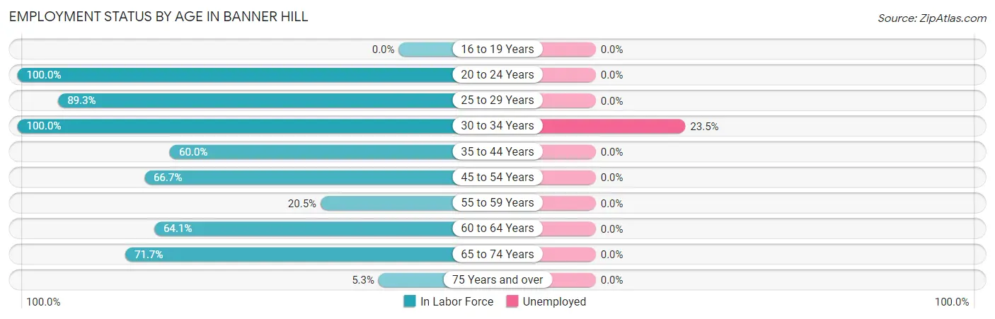 Employment Status by Age in Banner Hill