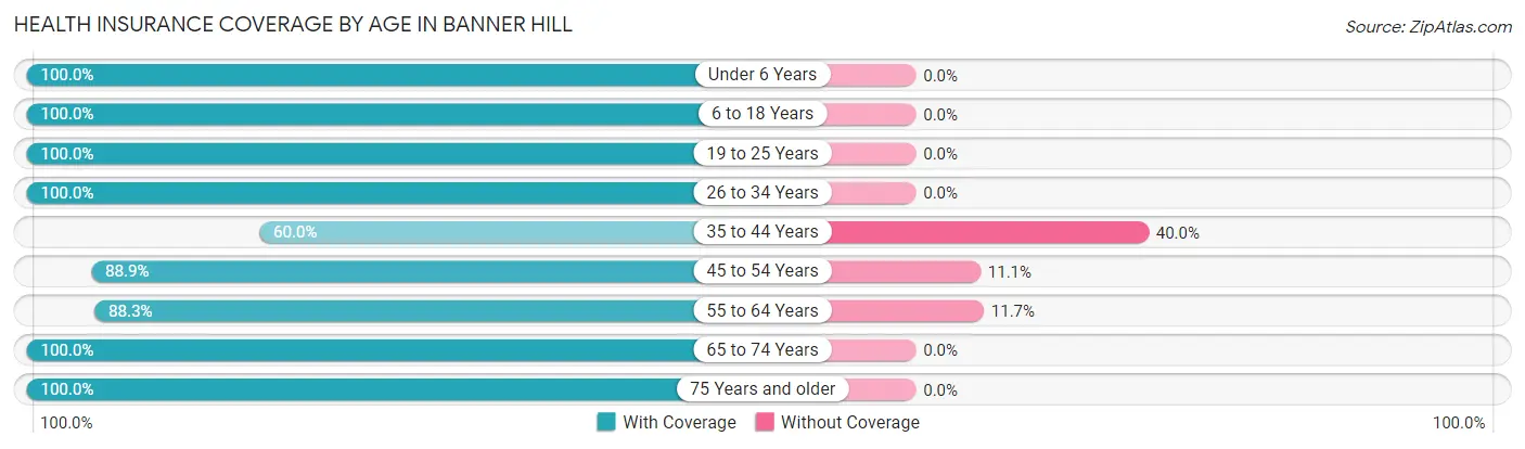 Health Insurance Coverage by Age in Banner Hill