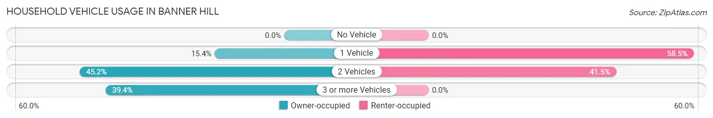 Household Vehicle Usage in Banner Hill