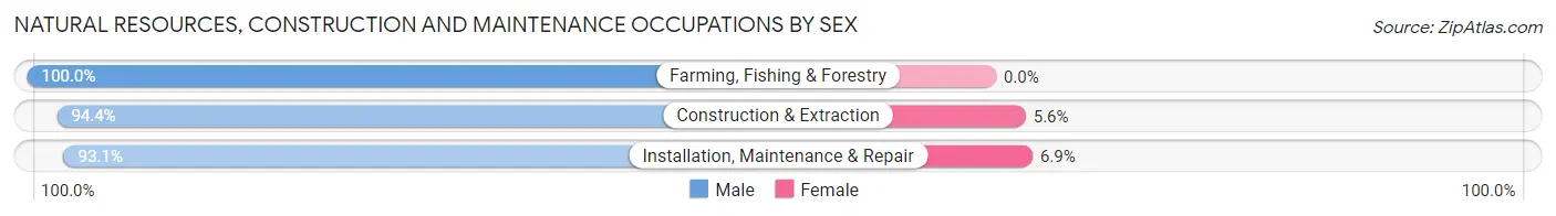 Natural Resources, Construction and Maintenance Occupations by Sex in Bartlett