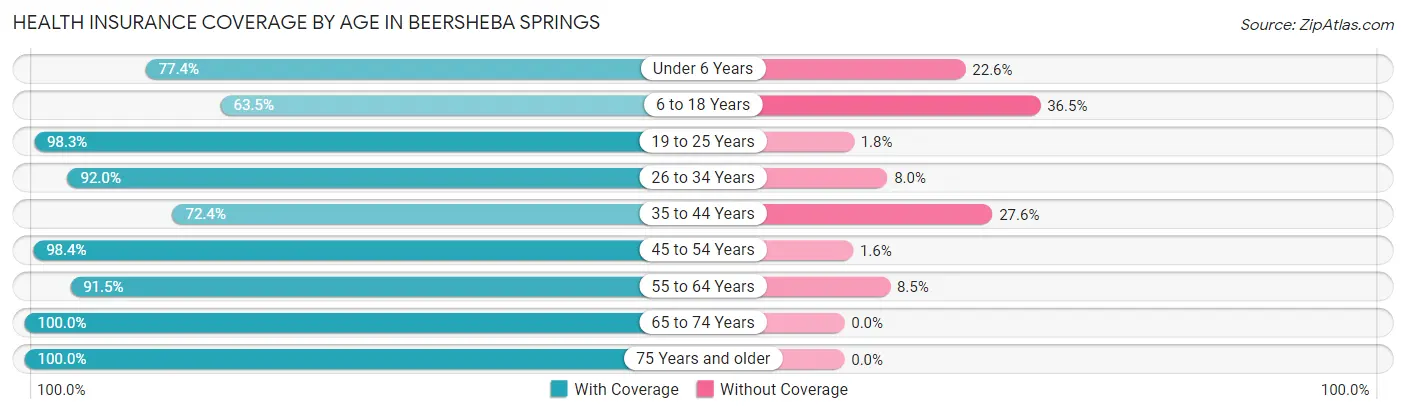 Health Insurance Coverage by Age in Beersheba Springs