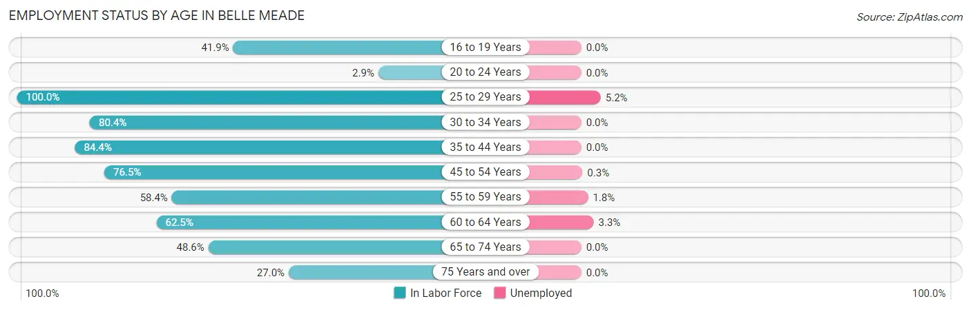Employment Status by Age in Belle Meade