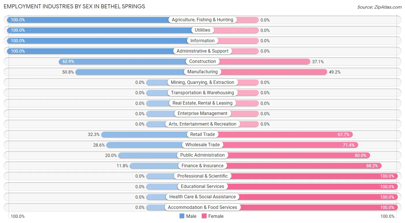 Employment Industries by Sex in Bethel Springs