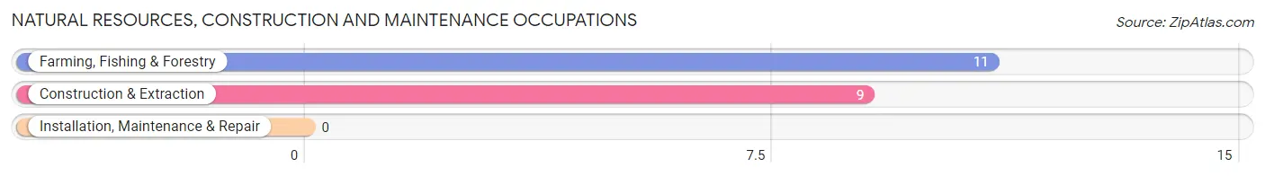 Natural Resources, Construction and Maintenance Occupations in Bethel Springs