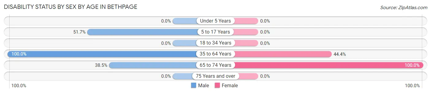 Disability Status by Sex by Age in Bethpage