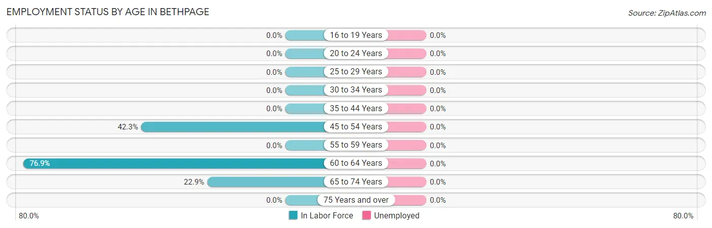 Employment Status by Age in Bethpage