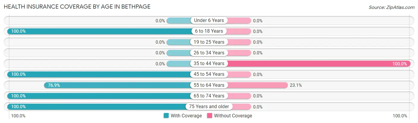 Health Insurance Coverage by Age in Bethpage