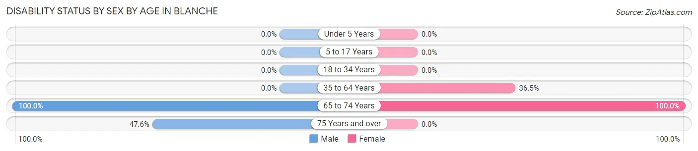Disability Status by Sex by Age in Blanche