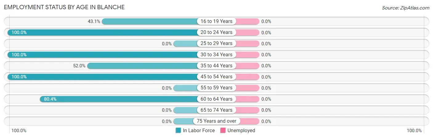 Employment Status by Age in Blanche
