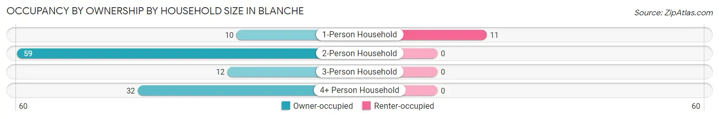 Occupancy by Ownership by Household Size in Blanche