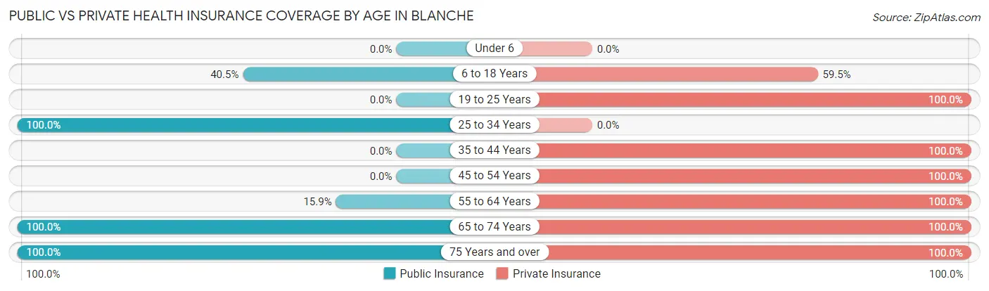 Public vs Private Health Insurance Coverage by Age in Blanche