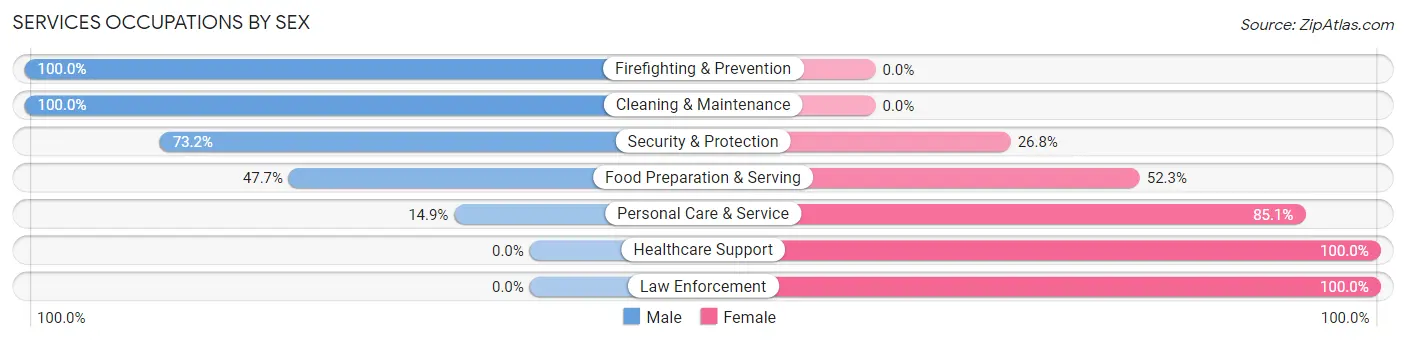 Services Occupations by Sex in Blountville