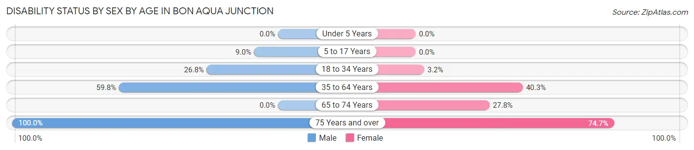 Disability Status by Sex by Age in Bon Aqua Junction