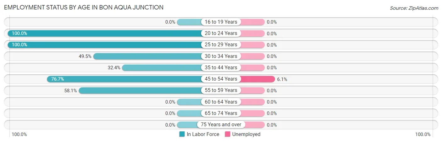 Employment Status by Age in Bon Aqua Junction