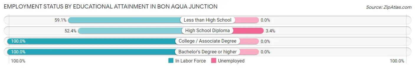 Employment Status by Educational Attainment in Bon Aqua Junction