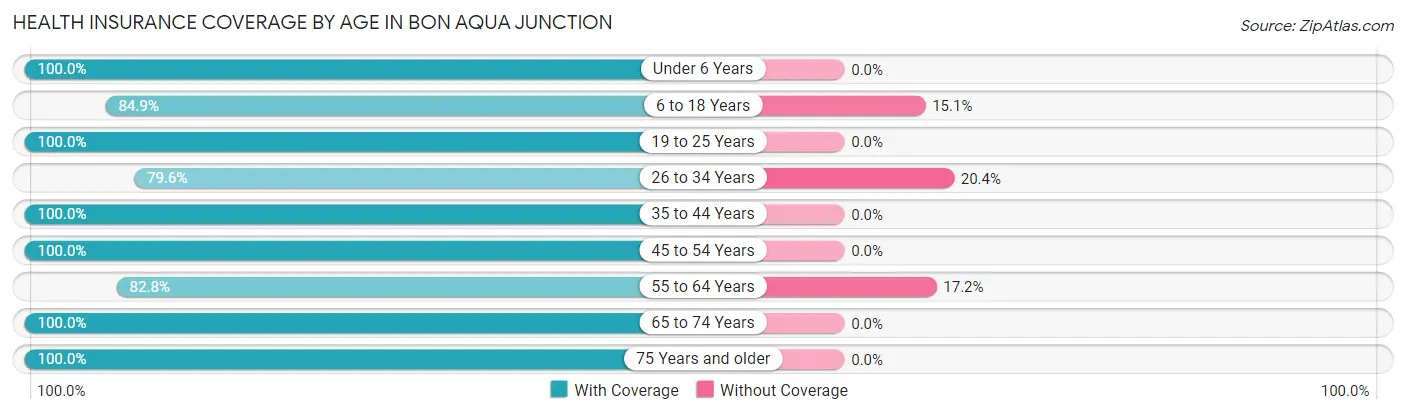 Health Insurance Coverage by Age in Bon Aqua Junction