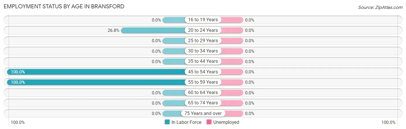 Employment Status by Age in Bransford