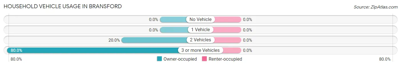 Household Vehicle Usage in Bransford