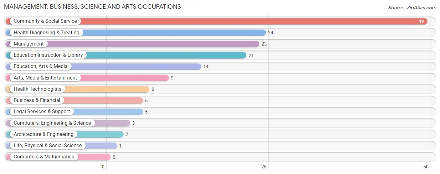 Management, Business, Science and Arts Occupations in Bruceton