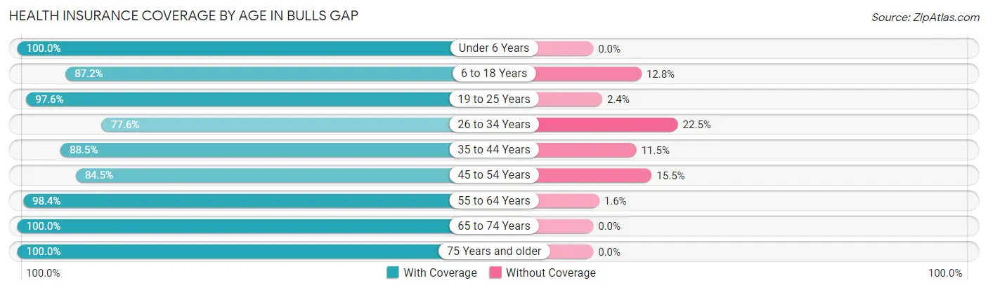 Health Insurance Coverage by Age in Bulls Gap